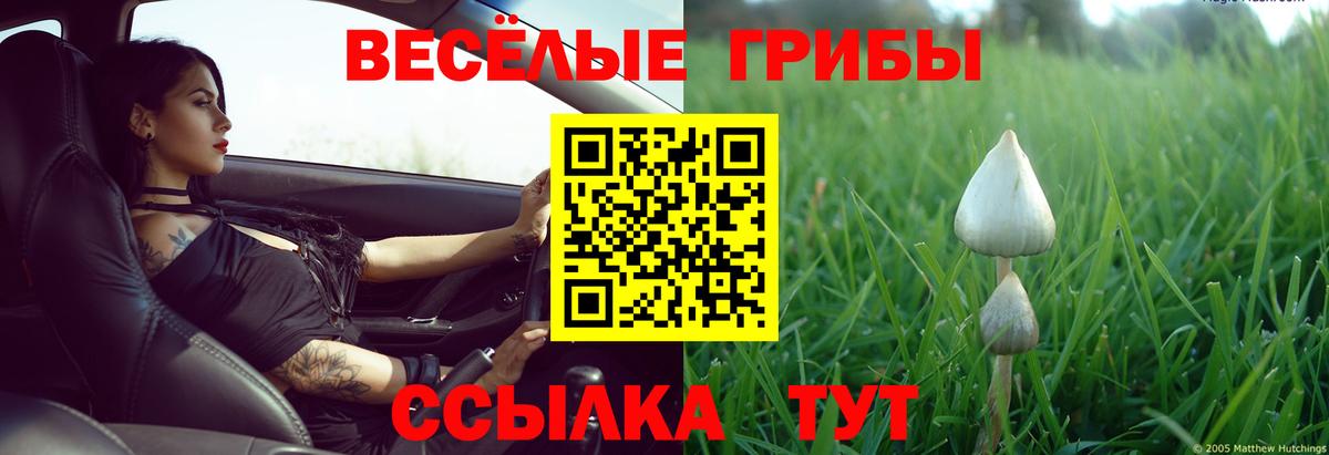 Иваново  Галлюциногенные грибы MAGIC MUSHROOMS  Вход с VPN 